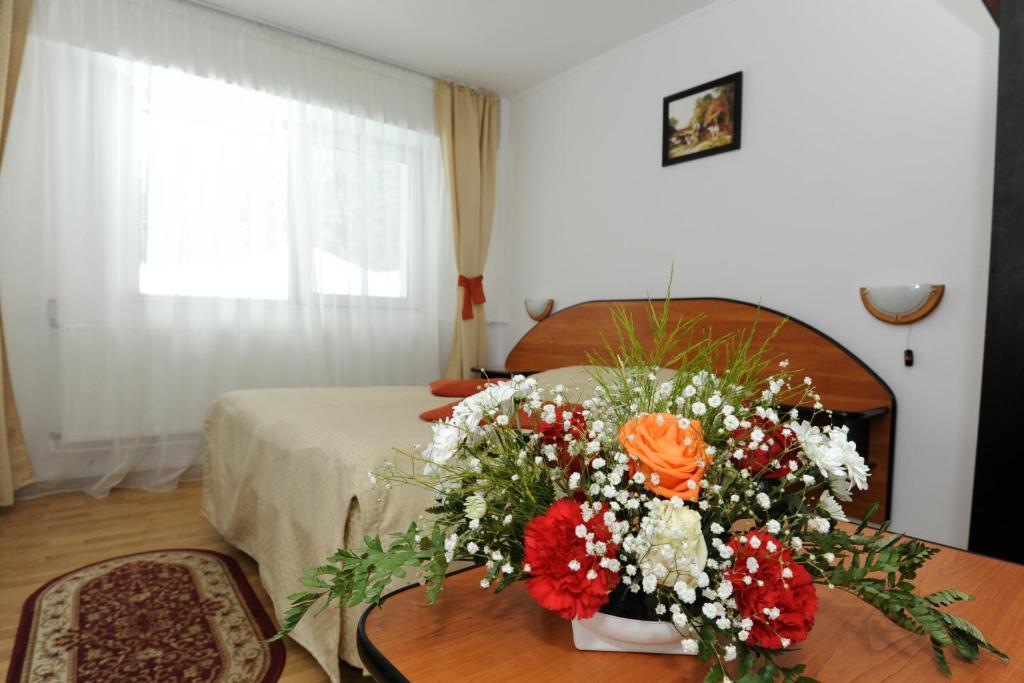 Gura Diham Hotel Busteni Bilik gambar