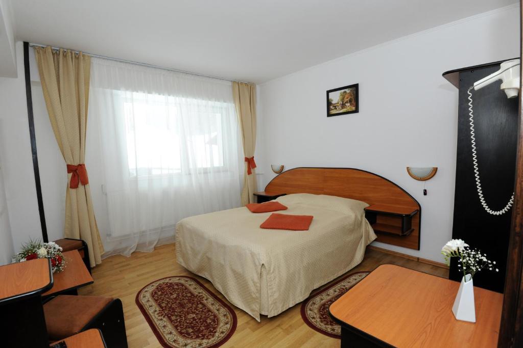 Gura Diham Hotel Busteni Bilik gambar