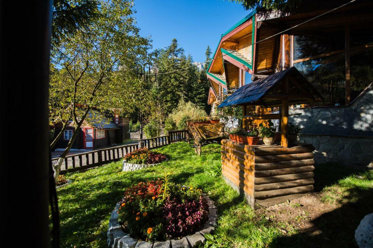 Gura Diham Hotel Busteni Luaran gambar